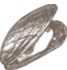 Custom icon